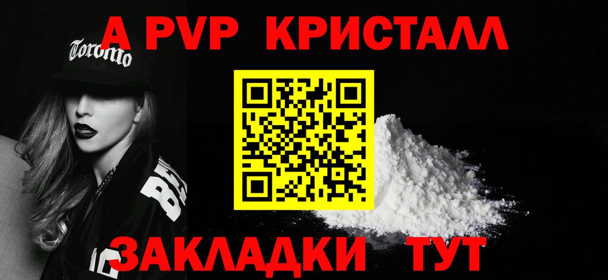 Альфа ПВП СК Ярославль