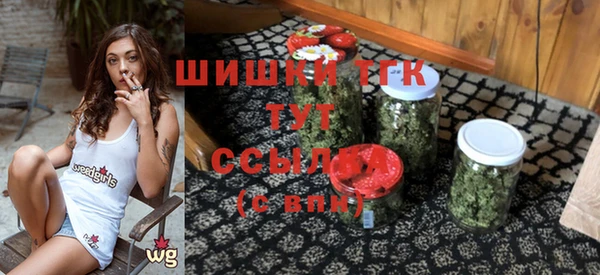 гашик Михайловка