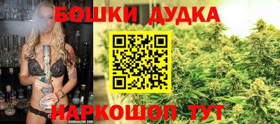 прущие крисы Абакан