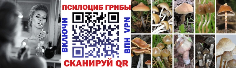 купить наркотики сайты Ярославль Псилоцибиновые грибы мицелий