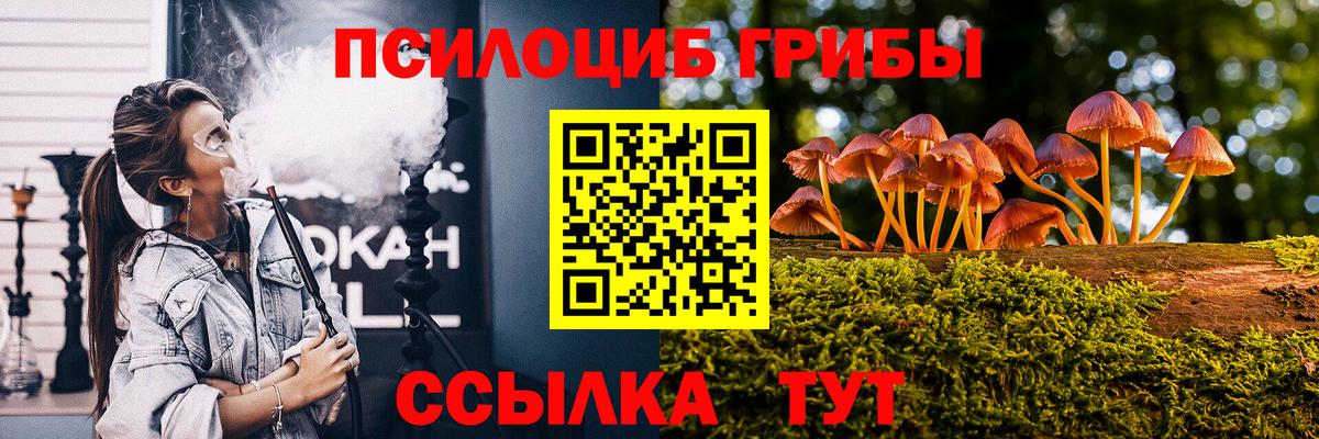 Псилоцибиновые грибы Psilocybine cubensis  Вход с VPN  Ярославль 